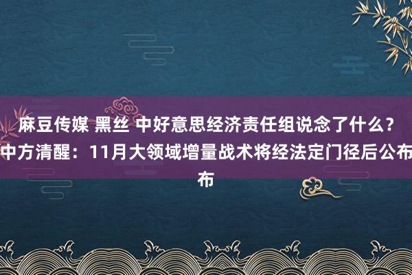 麻豆传媒 黑丝 中好意思经济责任组说念了什么？中方清醒：11月大领域增量战术将经法定门径后公布