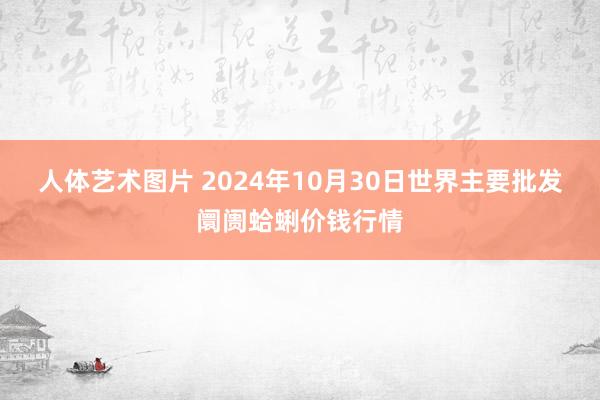 人体艺术图片 2024年10月30日世界主要批发阛阓蛤蜊价钱行情