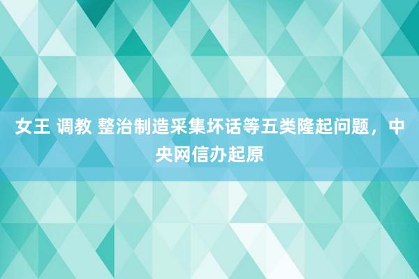 女王 调教 整治制造采集坏话等五类隆起问题，中央网信办起原