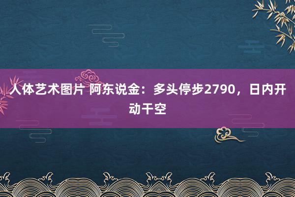 人体艺术图片 阿东说金：多头停步2790，日内开动干空