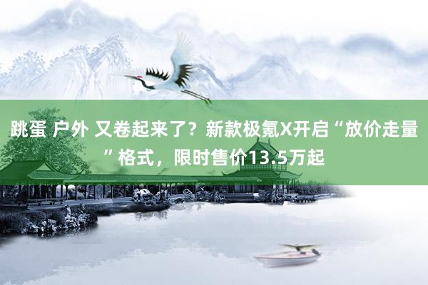 跳蛋 户外 又卷起来了？新款极氪X开启“放价走量”格式，限时售价13.5万起