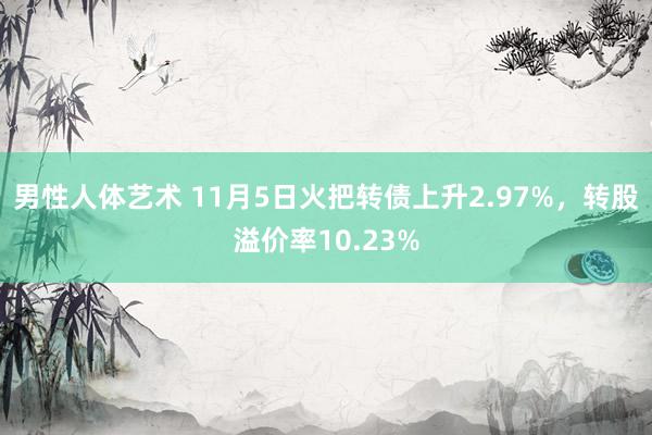 男性人体艺术 11月5日火把转债上升2.97%，转股溢价率10.23%