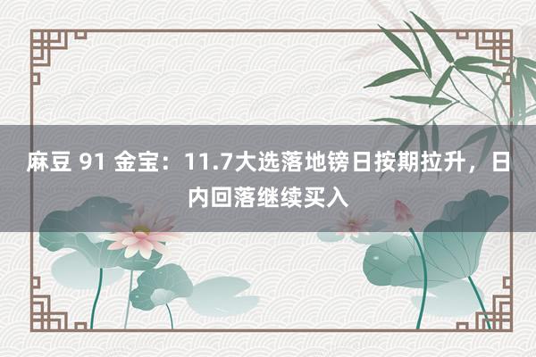 麻豆 91 金宝：11.7大选落地镑日按期拉升，日内回落继续买入