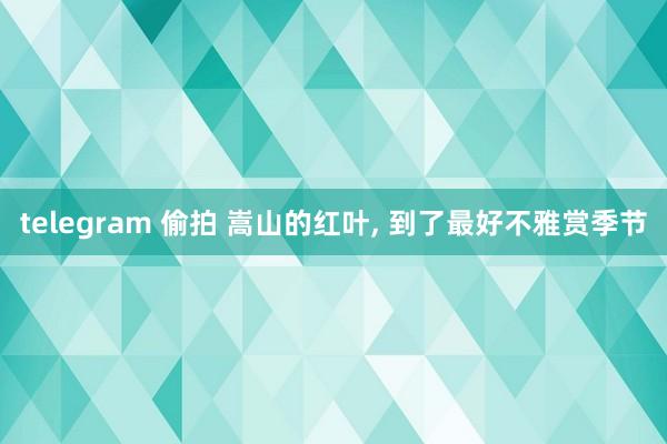 telegram 偷拍 嵩山的红叶， 到了最好不雅赏季节