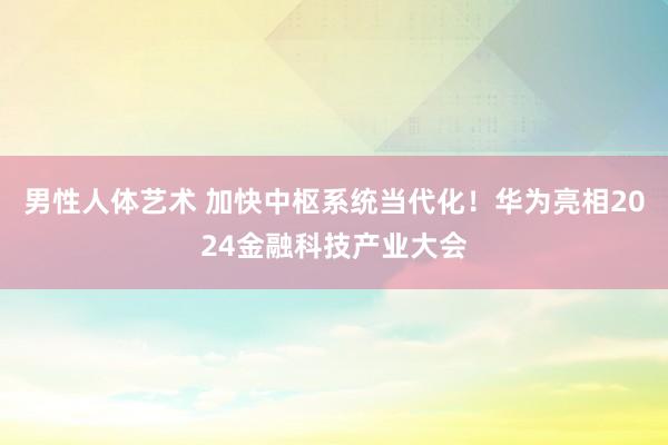 男性人体艺术 加快中枢系统当代化！华为亮相2024金融科技产业大会