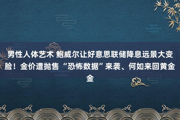 男性人体艺术 鲍威尔让好意思联储降息远景大变脸！金价遭抛售 “恐怖数据”来袭、何如来回黄金