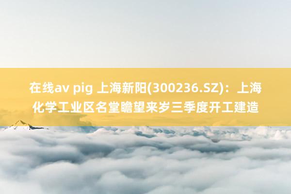 在线av pig 上海新阳(300236.SZ)：上海化学工业区名堂瞻望来岁三季度开工建造