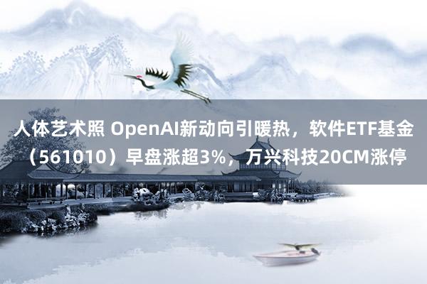 人体艺术照 OpenAI新动向引暖热，软件ETF基金（561010）早盘涨超3%，万兴科技20CM涨停