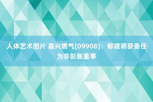 人体艺术图片 嘉兴燃气(09908)：郁建明获委任为非彭胀董事