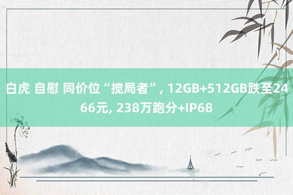 白虎 自慰 同价位“搅局者”， 12GB+512GB跌至2466元， 238万跑分+IP68