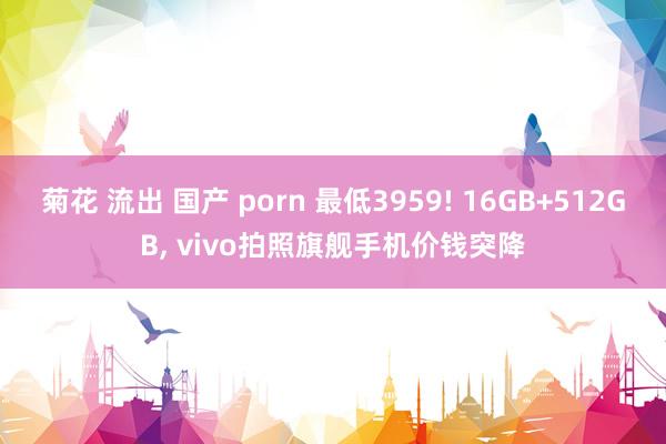 菊花 流出 国产 porn 最低3959! 16GB+512GB， vivo拍照旗舰手机价钱突降