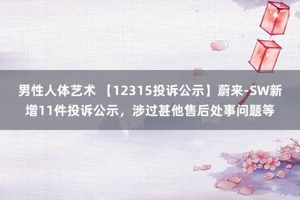 男性人体艺术 【12315投诉公示】蔚来-SW新增11件投诉公示，涉过甚他售后处事问题等