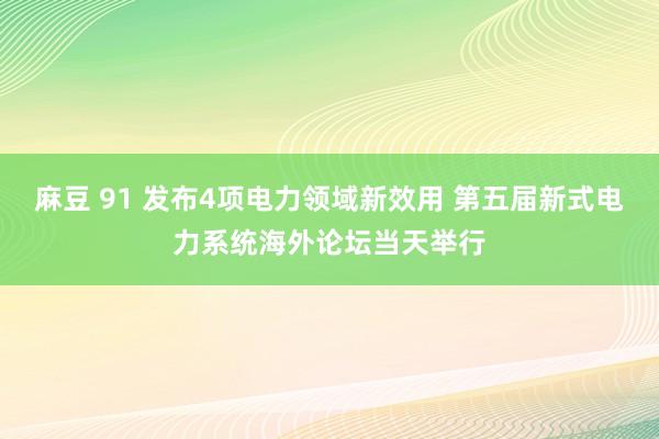 麻豆 91 发布4项电力领域新效用 第五届新式电力系统海外论坛当天举行