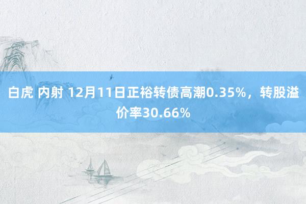 白虎 内射 12月11日正裕转债高潮0.35%，转股溢价率30.66%