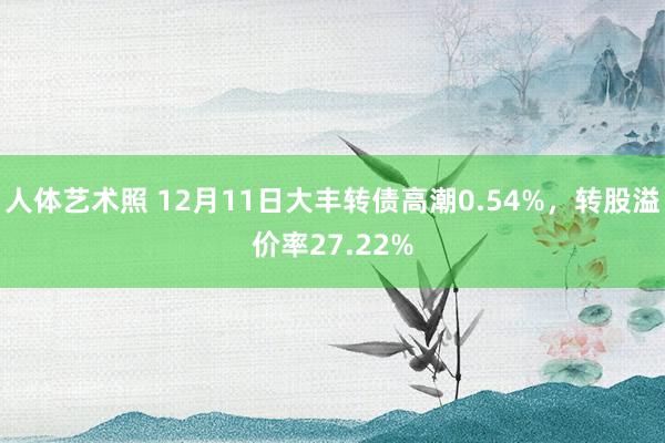 人体艺术照 12月11日大丰转债高潮0.54%，转股溢价率27.22%