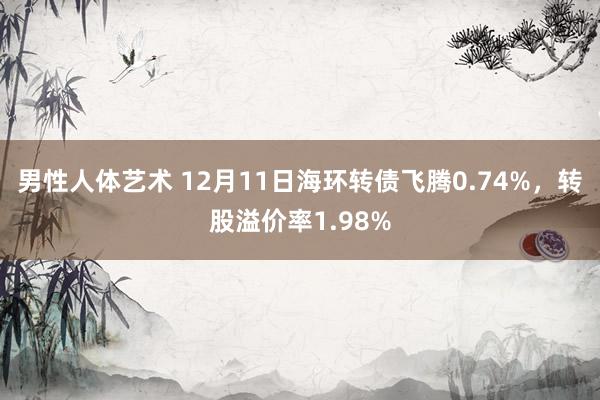 男性人体艺术 12月11日海环转债飞腾0.74%，转股溢价率1.98%