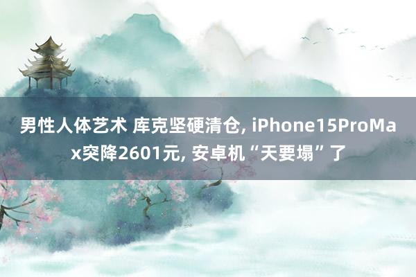 男性人体艺术 库克坚硬清仓， iPhone15ProMax突降2601元， 安卓机“天要塌”了