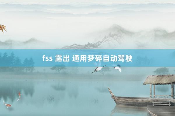 fss 露出 通用梦碎自动驾驶