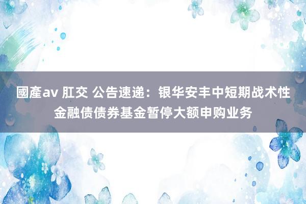 國產av 肛交 公告速递：银华安丰中短期战术性金融债债券基金暂停大额申购业务