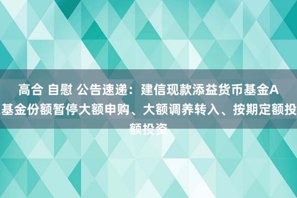 高合 自慰 公告速递：建信现款添益货币基金A类基金份额暂停大额申购、大额调养转入、按期定额投资