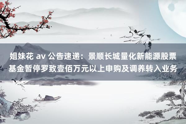 姐妹花 av 公告速递：景顺长城量化新能源股票基金暂停罗致壹佰万元以上申购及调养转入业务