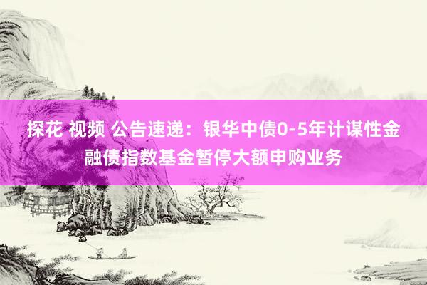 探花 视频 公告速递：银华中债0-5年计谋性金融债指数基金暂停大额申购业务