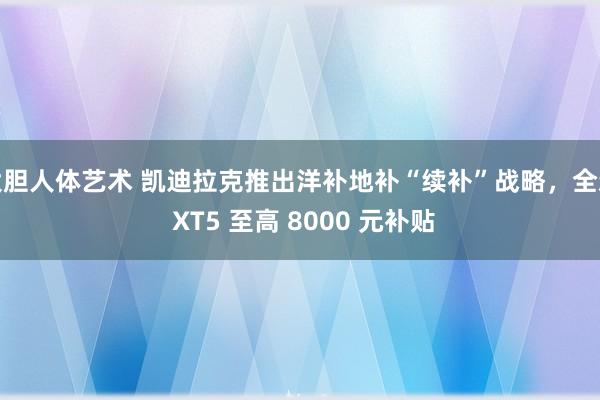 大胆人体艺术 凯迪拉克推出洋补地补“续补”战略，全新 XT5 至高 8000 元补贴