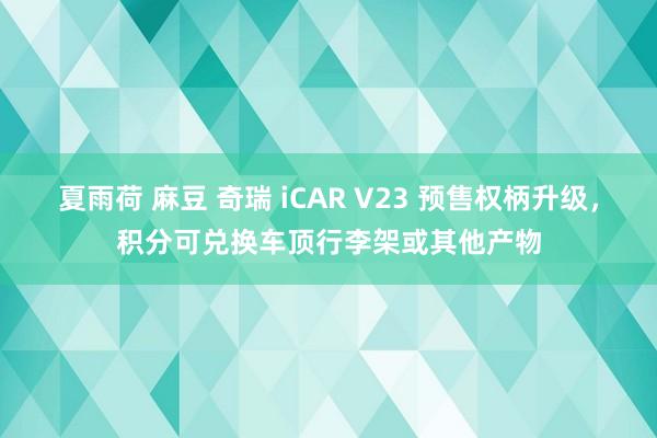 夏雨荷 麻豆 奇瑞 iCAR V23 预售权柄升级，积分可兑换车顶行李架或其他产物