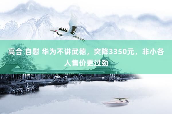 高合 自慰 华为不讲武德，突降3350元，非小各人售价更过劲