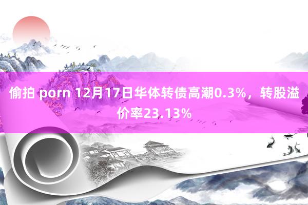 偷拍 porn 12月17日华体转债高潮0.3%，转股溢价率23.13%