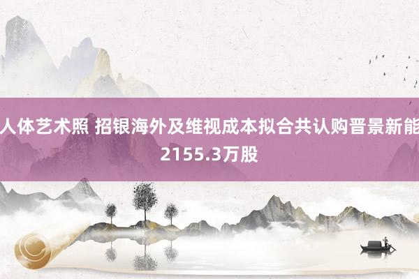 人体艺术照 招银海外及维视成本拟合共认购晋景新能2155.3万股