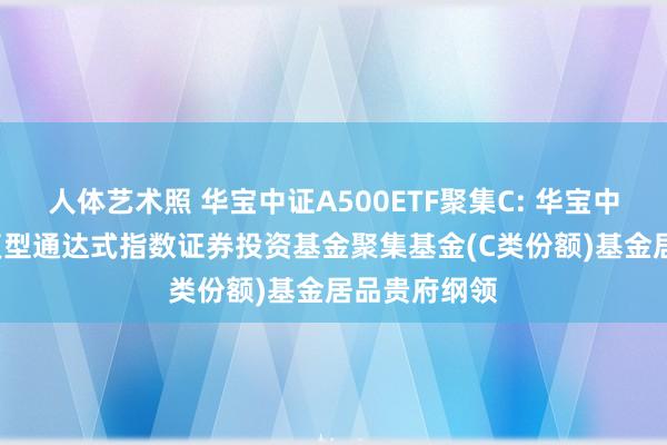 人体艺术照 华宝中证A500ETF聚集C: 华宝中证A500往复型通达式指数证券投资基金聚集基金(C类份额)基金居品贵府纲领