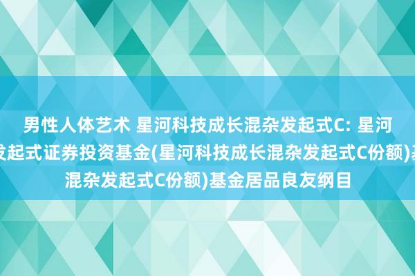 男性人体艺术 星河科技成长混杂发起式C: 星河科技成长混杂型发起式证券投资基金(星河科技成长混杂发起式C份额)基金居品良友纲目