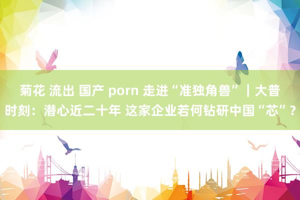 菊花 流出 国产 porn 走进“准独角兽”｜大普时刻：潜心近二十年 这家企业若何钻研中国“芯”？