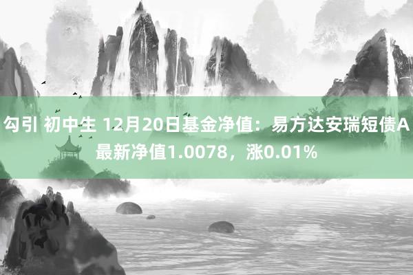 勾引 初中生 12月20日基金净值：易方达安瑞短债A最新净值1.0078，涨0.01%