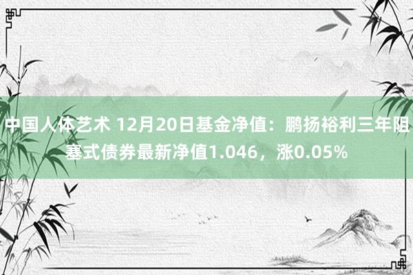 中国人体艺术 12月20日基金净值：鹏扬裕利三年阻塞式债券最新净值1.046，涨0.05%