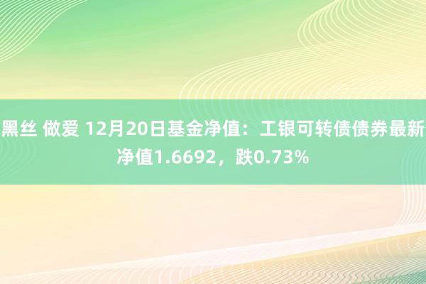 黑丝 做爱 12月20日基金净值：工银可转债债券最新净值1.6692，跌0.73%