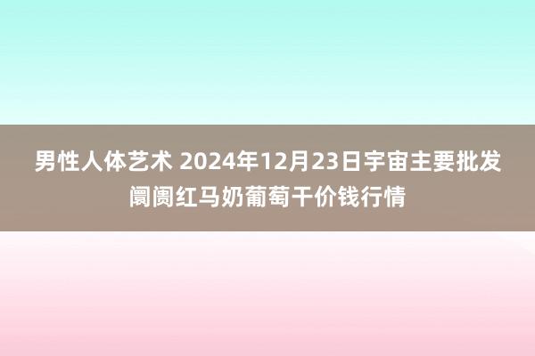 男性人体艺术 2024年12月23日宇宙主要批发阛阓红马奶葡萄干价钱行情