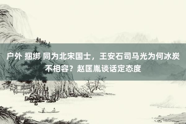 户外 捆绑 同为北宋国士，王安石司马光为何冰炭不相容？赵匡胤谈话定态度