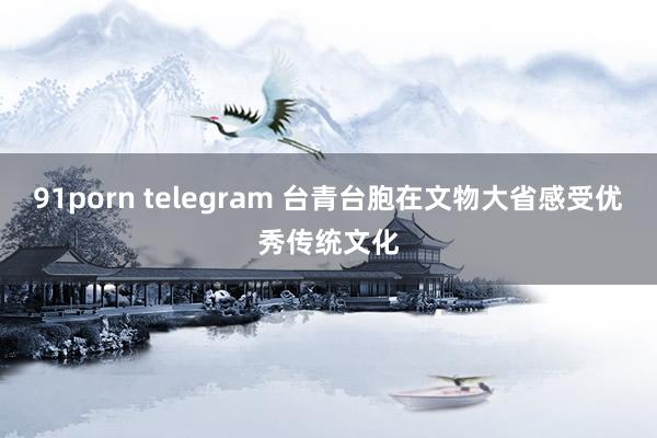 91porn telegram 台青台胞在文物大省感受优秀传统文化