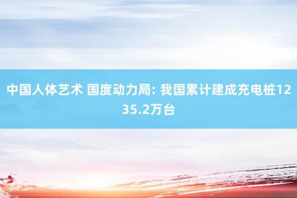 中国人体艺术 国度动力局: 我国累计建成充电桩1235.2万台