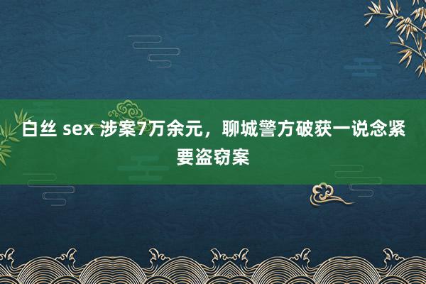 白丝 sex 涉案7万余元，聊城警方破获一说念紧要盗窃案