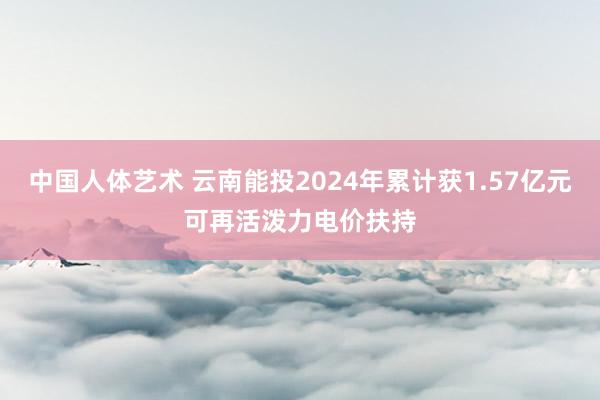 中国人体艺术 云南能投2024年累计获1.57亿元可再活泼力电价扶持