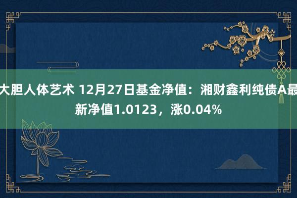 大胆人体艺术 12月27日基金净值：湘财鑫利纯债A最新净值1.0123，涨0.04%