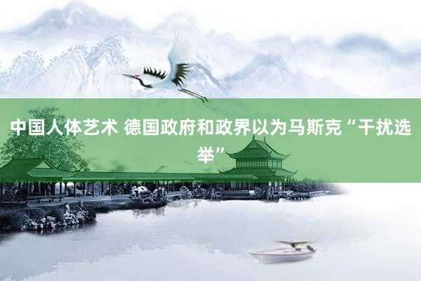 中国人体艺术 德国政府和政界以为马斯克“干扰选举”