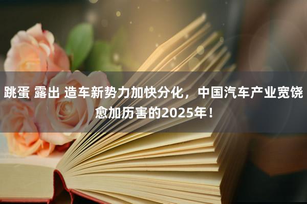 跳蛋 露出 造车新势力加快分化，中国汽车产业宽饶愈加历害的2025年！