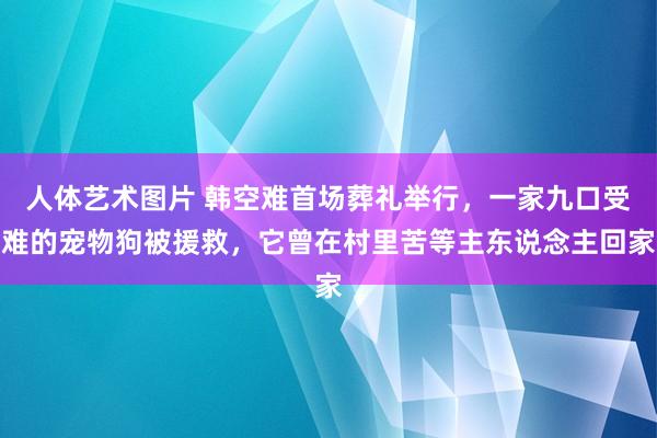 人体艺术图片 韩空难首场葬礼举行，一家九口受难的宠物狗被援救，它曾在村里苦等主东说念主回家