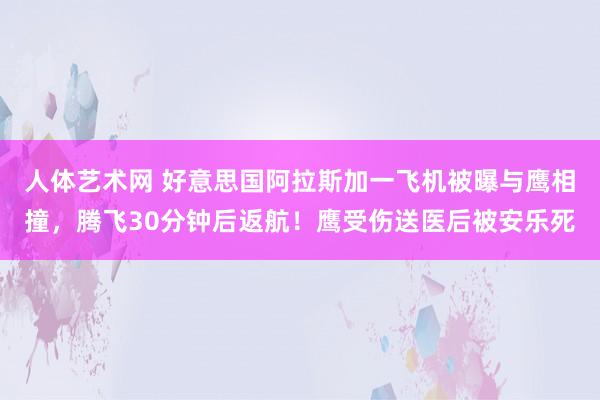 人体艺术网 好意思国阿拉斯加一飞机被曝与鹰相撞，腾飞30分钟后返航！鹰受伤送医后被安乐死