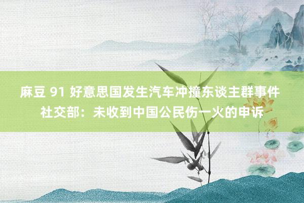 麻豆 91 好意思国发生汽车冲撞东谈主群事件 社交部：未收到中国公民伤一火的申诉