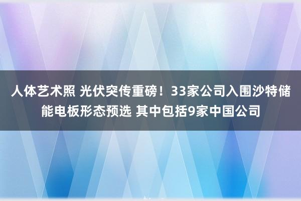 人体艺术照 光伏突传重磅！33家公司入围沙特储能电板形态预选 其中包括9家中国公司